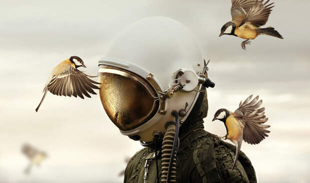 Человек в шлеме и 2 птицы