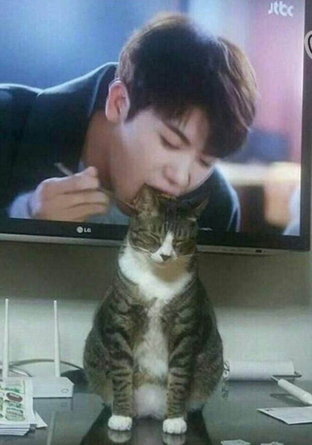 Снимки, на которые нужно посмотреть дважды