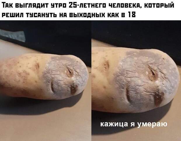 www.vsyako.net