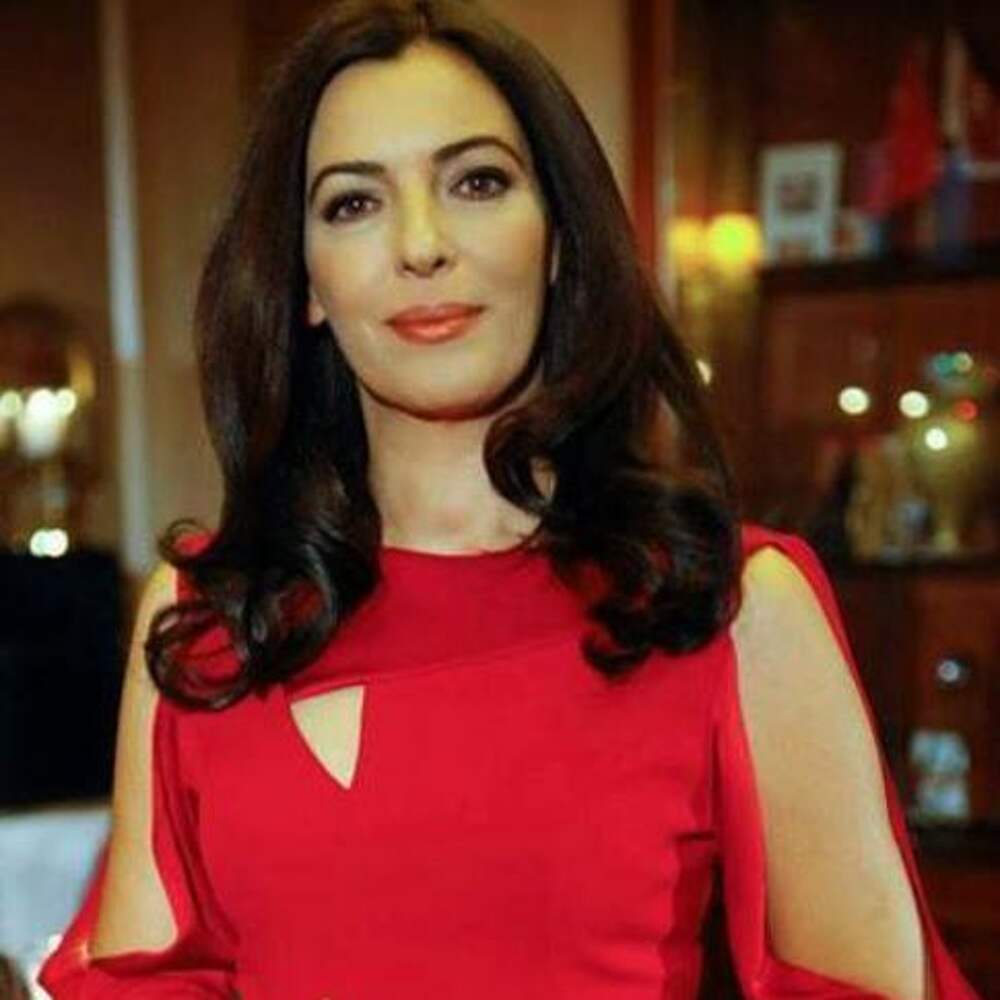 арзу. сузан шахика. арзу мамедова. мухаммет узунер и арзу гамзе кылынч дети. арзу гейбуллаева.