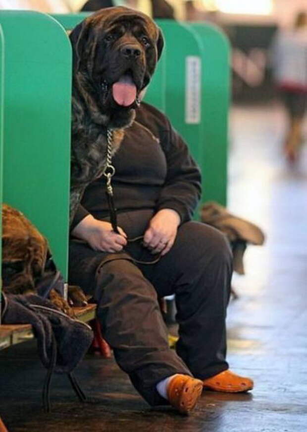 подборка фотографий
