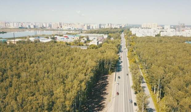 Тюменские власти вновь разрешили «Мостострою-11» вырубать деревья