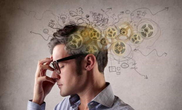 Констатировано общее снижение интеллекта людей Констатировано общее снижение интеллекта людей