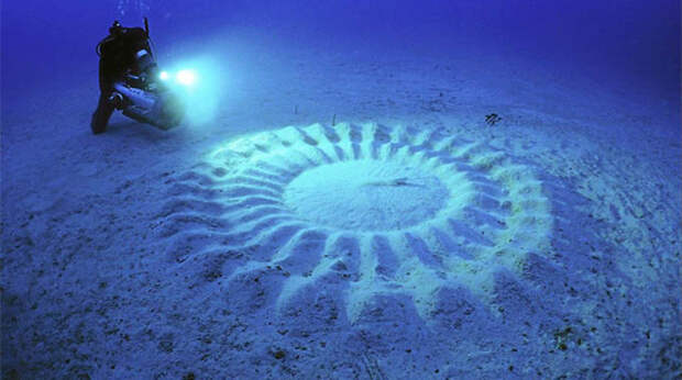 12. Подводные круги жизнь, интересное, красота, мир, природа, феномен, фото, явление