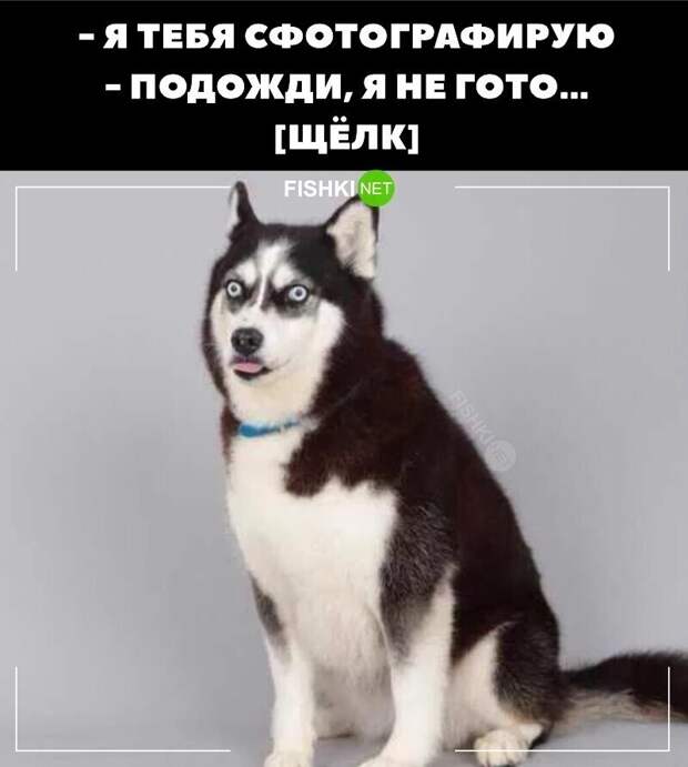 Просто нажимать кнопочки умеет уже каждый Просто нажимать кнопочки умеет уже каждый