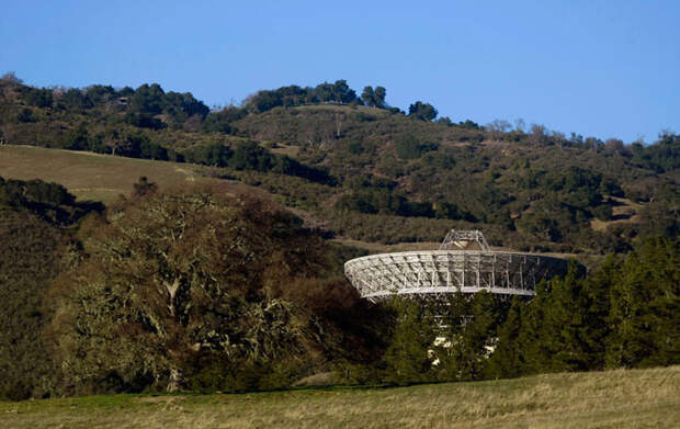 Мир без людей