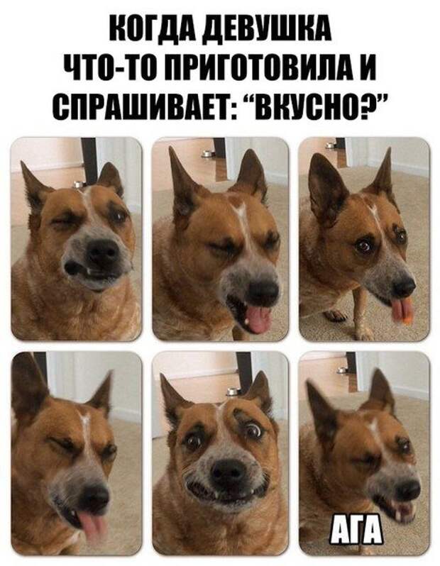 Картинки с подписями Картинки с подписями