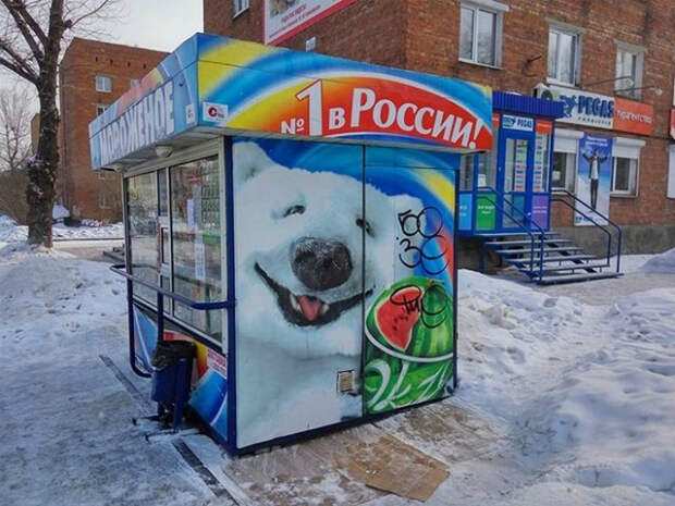 Очаровательный мишка. Очаровательный мишка.