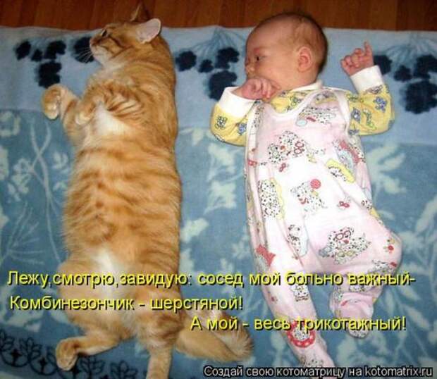 Котоматрицы(картинки с надписями)