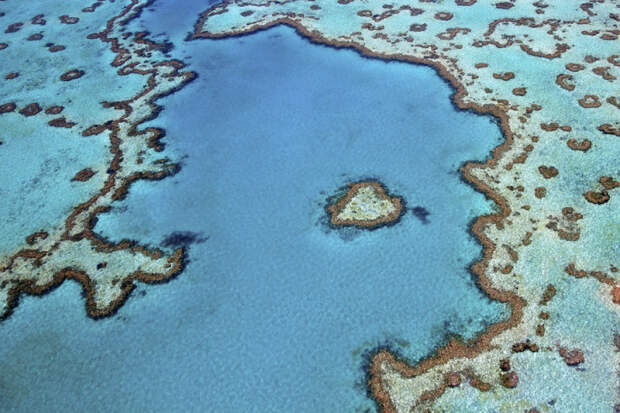 Пролетите над коралловым рифом в форме сердца в Большом Барьерном рифе, Австралия.