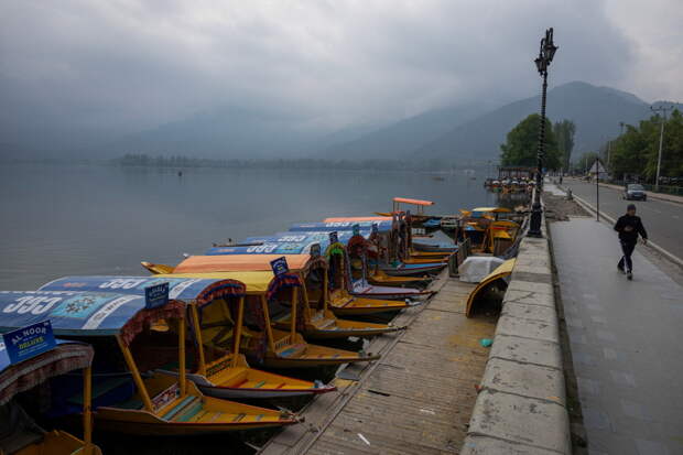Российский блогер описал свою поездку в Индию фразой «не был готов к такому уровню треша»