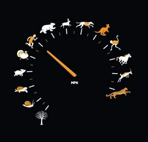 Давайте улыбаться вместе! :)