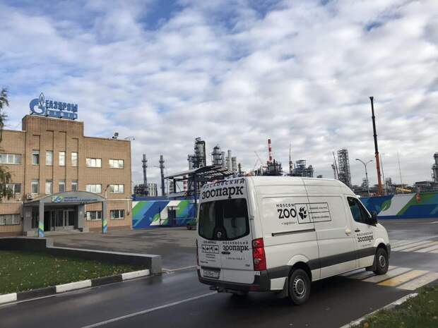 Фото предоставлено филиалом «Капотня» ГБУ ЦСПСиД «Гармония»
