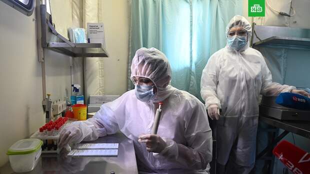 Ученый рассказал о «нулевых пациентах» с коронавирусом в РФ