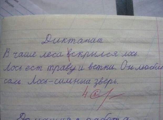 Фотоподборка четверга (104 фото)