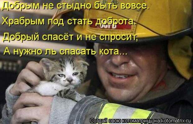 Котоматрицы (картинки с надписями)