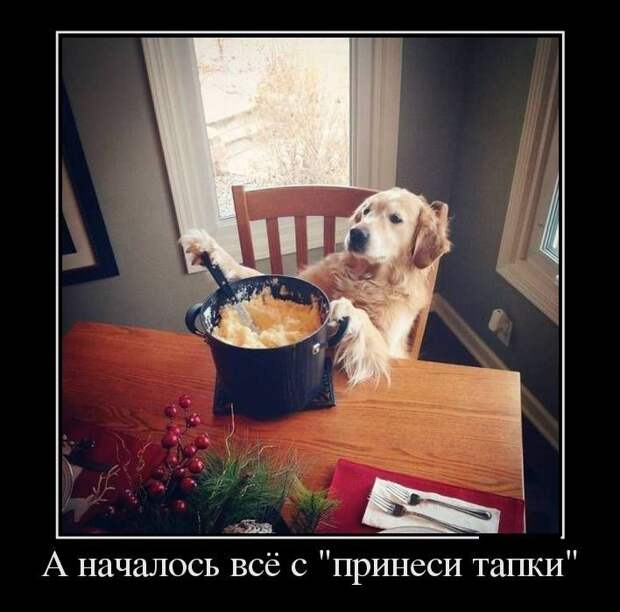 Демотиваторы (30 фото)