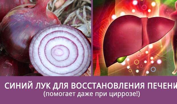 liver-1