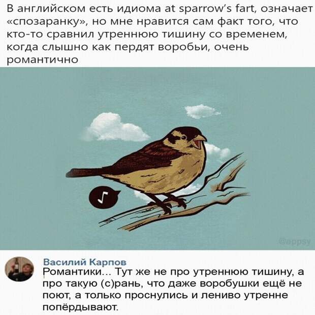 Минутка языкознания Минутка языкознания