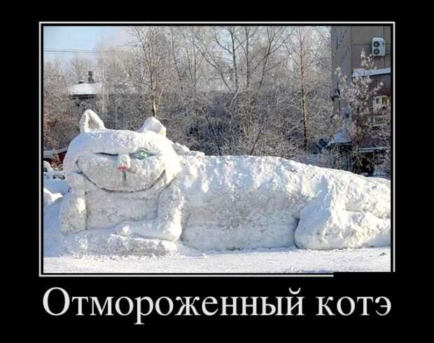 Свежие демотиваторы на воскресенье (11 фото)