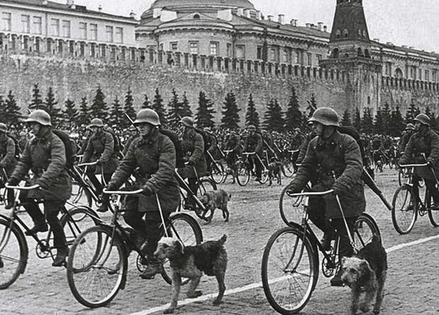 Собаки–герои Великой Отечественной войны