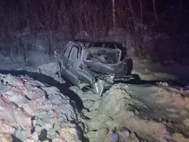 Двое детей с Южного Урала пострадали в ДТП с косулей под Курганом