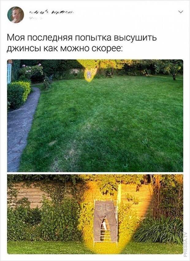 Высушить скорее ) Высушить скорее )
