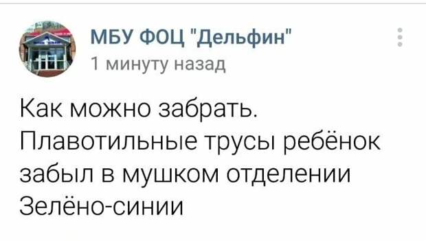 Грамотеи современности, по которым начальная школа плачет Грамотеи современности, по которым начальная школа плачет