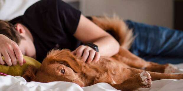 Спать до обеда опасно: врач рассказал, к чему приводит попытка отоспаться за весь год