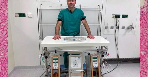 Ночная машинная перфузия донорской печени позволила перенести больше пересадок в дневное время