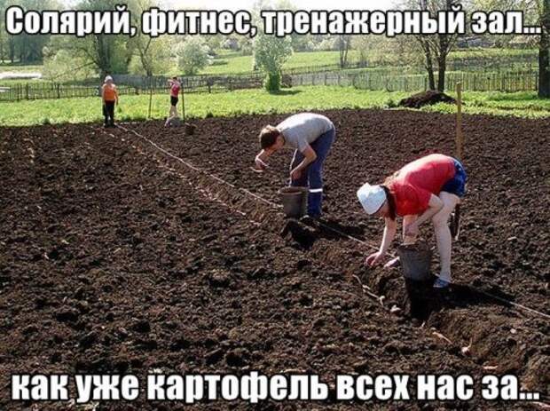 Фотоприколы и картинки (49 шт)