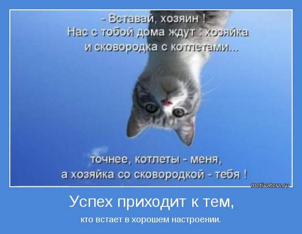 Утренние мотиваторы (78 фото) Утренние мотиваторы (78 фото)