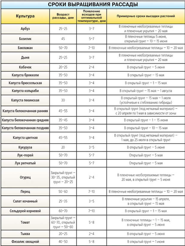 Сроки растут. Сроки высадки рассады в открытый грунт. Сроки высадки рассады капусты в открытый грунт. Сроки посева лука порея на рассаду. Лунный календарь на 2019 года садовода и огородника Урала.