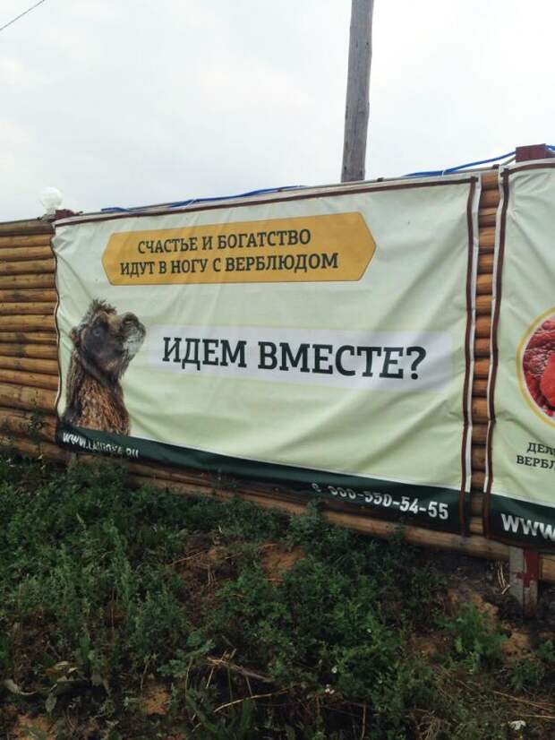 Маразмы месяца  россия, позитив, юмор, маразм, реклама