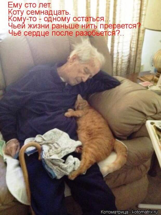 Лучшие котоматрицы за неделю