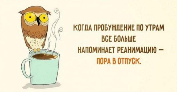 Очередная подборка забавных картинок из просторов сети