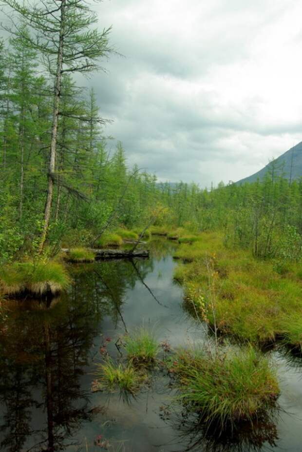 Плато Путорана, горы Путорана, Россия.
