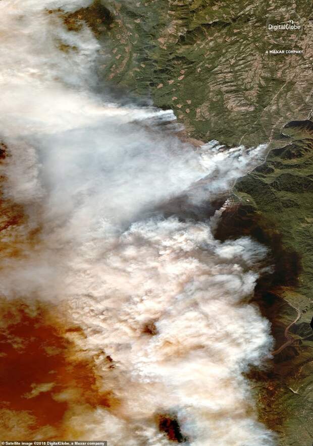 Густое облако дыма вокруг бушующего пожара ynews, калифорния, катастрофы, лесные пожары, новости, пожар, пожары в Калифорнии, происшествия