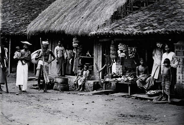 Редчайшие фотографии о повседневной жизни Шри-Ланки в 1880-х годах 1