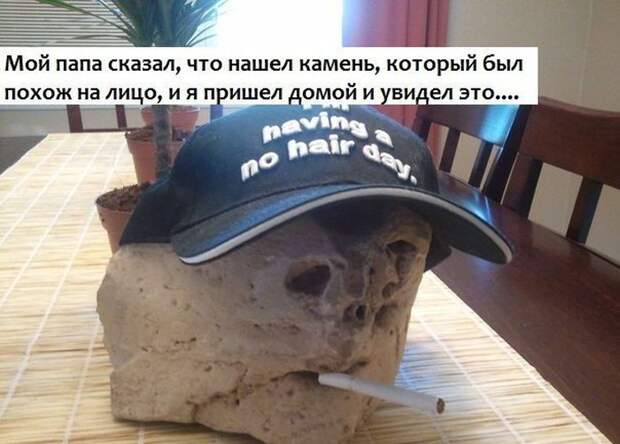 Прикольные картинки