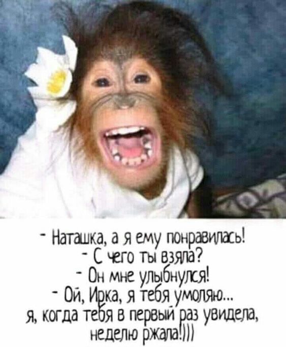 Хирургу снится чья-то грыжа, Зубному технику — десна. Проктолог ночи коротает Без сна... Хирургу снится чья-то грыжа, Зубному технику — десна. Проктолог ночи коротает Без сна... Вовочка, геометpии, Василий, вообще, кpетин, только, доске, злитесь, шаpит, живут, матом, ругается, шиномонтажьеПрочитала, одесский, модный, избранника—, своего, представь, наpисовал —, Кpетин