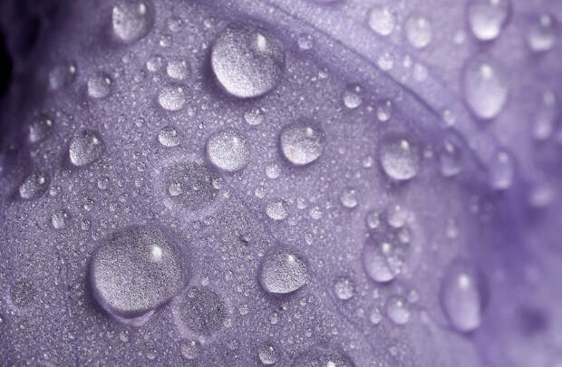Фотографии капель воды