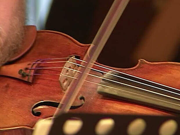 Скрипки челябинск