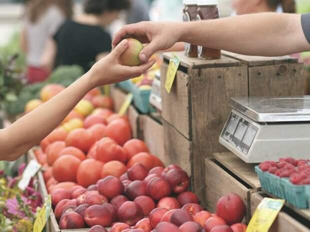 В России число продуктов с нарушением содержания ГМО упало в 8 раз