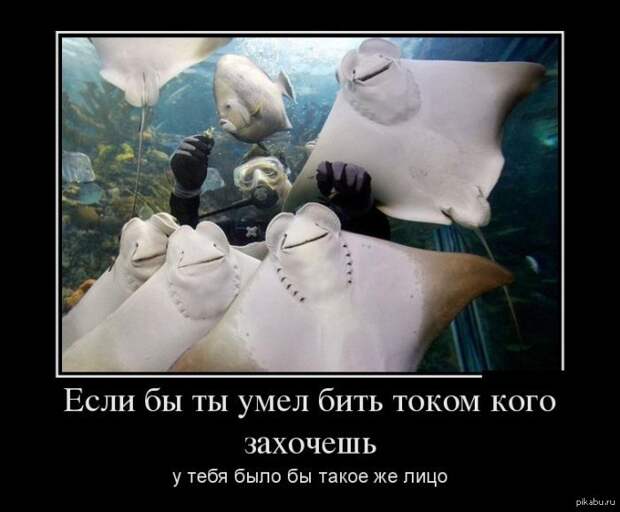 Веселые утренние демотиваторы из сети