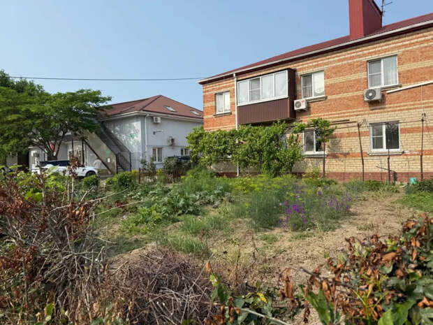 Не опоздайте: полный список культур для апрельского сева-2026 по всем регионам