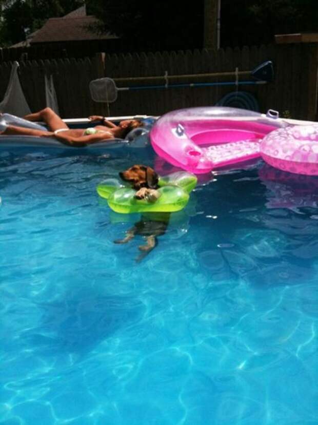 Давайте улыбаться вместе! :)