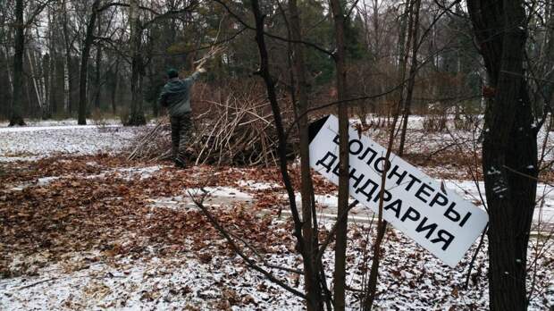 Сад спасен. Волонтерство в Ботаническом саду.