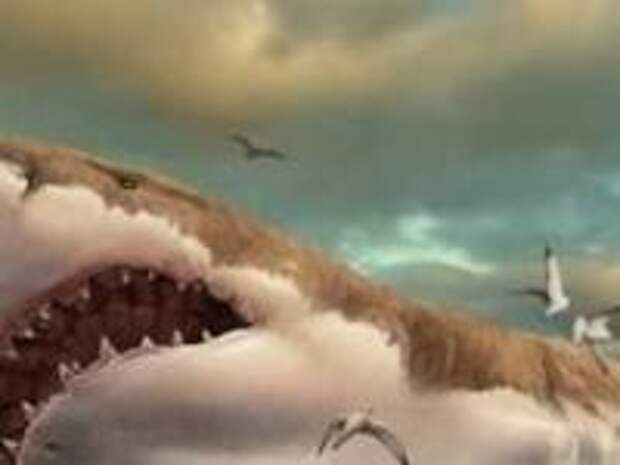 Почему вымерли мегалодоны?