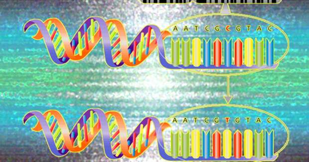 Ошибки в номенклатуре генов обнаружены в каждой рукописи, поданной за два года